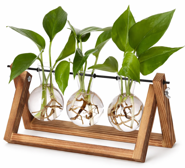 wooden frame glass vase hydroponic plant wooden frame glass vase hydroponic plant