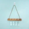 Wall Hanging Glass Terrarium