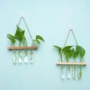Wall Hanging Glass Terrarium