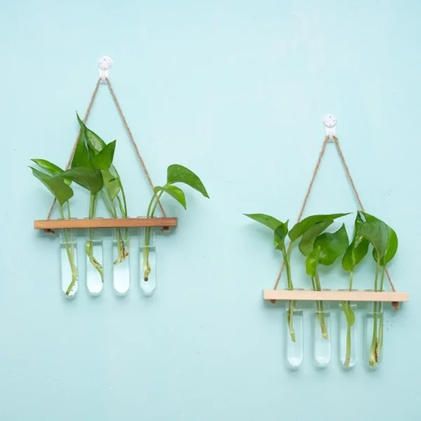 Wall Hanging Glass Terrarium