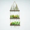 Wall Hanging Glass Terrarium
