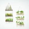 Wall Hanging Glass Terrarium