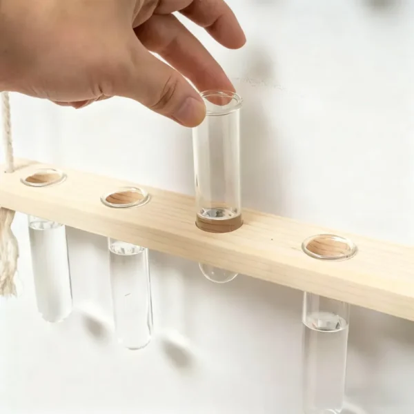 Wall Hanging Glass Terrarium