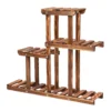 Carbonized Wood Plant Stand Multi-Tier Succulent Rack