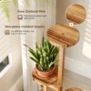Bamworld 4 Tier Wood Plant Stand