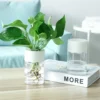 Mini Hydroponic Flowerpot for Modern Home