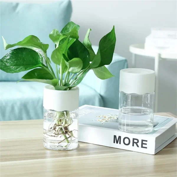 Mini Hydroponic Flowerpot for Modern Home