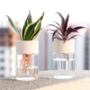mini hydroponic flowerpot transparent