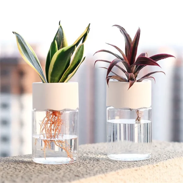 mini hydroponic flowerpot transparent