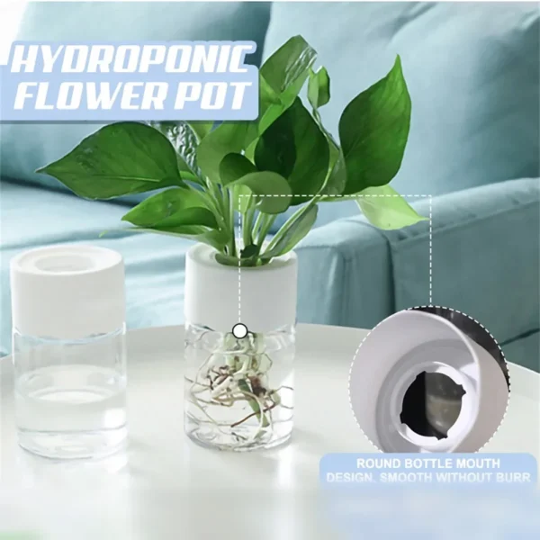 Mini Hydroponic Flowerpot for Modern Home