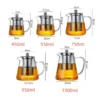 Heat-Resistant Borosilicate Glass Teapot