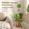 Bamworld 4 Tier Wood Plant Stand