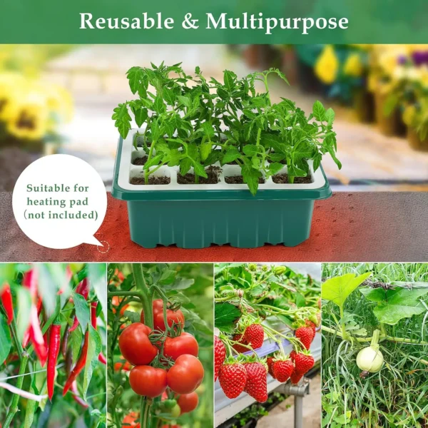 Silicone Seed Starter Tray Kit