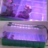 kf-Sd632c16f71d244bc99eb19e243e39592S Seed Starter Tray with Grow Light