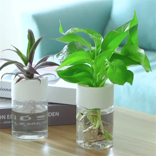 Mini Hydroponic Flowerpot for Modern Home
